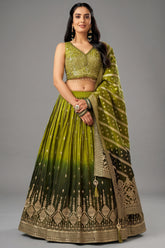 Green Ombre Chinon Sequin Embroidered Pleated Lehenga - red saree embroidered