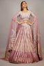 Dusty Mauve Tissue Pleated Lehenga - saree