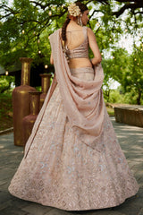 Nude Peach Tissue Sequin Embroidered Lehenga