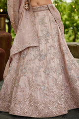 Nude Peach Tissue Sequin Embroidered Lehenga