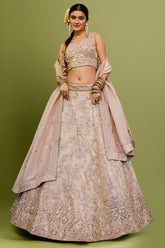 Nude Peach Tissue Sequin Embroidered Lehenga