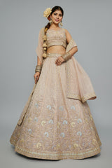 Nude Peach Georgette Crush Silk Embroidered and Sequin Worked Lehenga