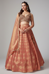 Coral Peach Tissue Zari Woven Lehenga with Handworked Blouse