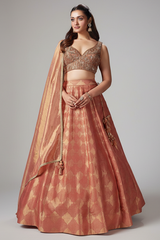 Coral Peach Tissue Zari Woven Lehenga with Handworked Blouse