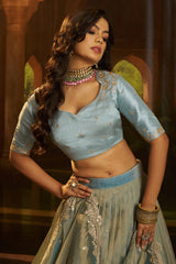 Powder Blue Organza Lehenga with Sequins Border - blue organza saree