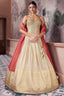 Cream Tissue Woven Pleated Lehenga with Mirror Work Corset - cream saree