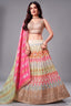 Cream organza embroidered lehenga with multi-thread work - front view