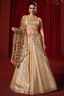 Ivory Tissue Silk and Banarasi Brocade Lehenga Choli with Jaal Dupatta