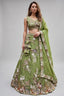 Pista Green Tissue Lehenga Choli with Botanical Embroidery and Tassels