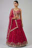 Rani Pink Pleated Georgette Lehenga Choli with Embroidered Border