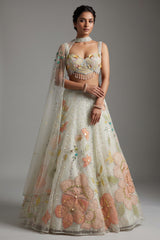 Mint Green Net Designer Floral Patch Worked Lehenga with Cape Dupatta - green net saree