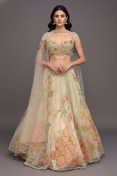 Mint Green Net Designer Floral Patch Worked Lehenga with Cape Dupatta