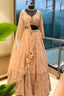 Peach Net Designer Handworked Lehenga - peach net saree