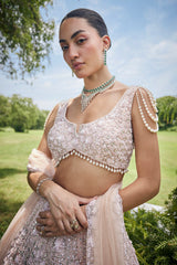 Peach Net Designer All Over Sequin Beaded Lehenga