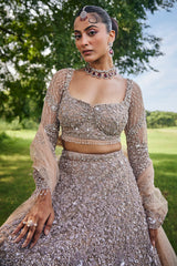 Brown Net Designer Embellished Lehenga with Heavy Work