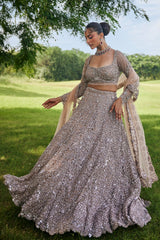 Brown Net Designer Embellished Lehenga with Heavy Work