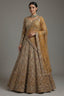 Golden Net Sequins Cutdana Worked Designer Lehenga - gold net saree