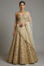 Golden Organza Designer Lehenga - gold organza saree