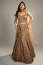 Rose Gold Net Sequinned Fish Cut Lehenga with Corset Blouse - Front View