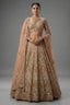 Champagne Beige Net Lehenga - Front View