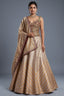Golden Tissue Silk Lehenga with Kundan and beads worked corset blouse front view
