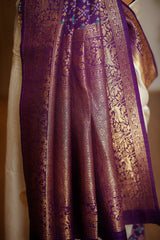 Off White Dola Silk Saree with Contrast Patola Border