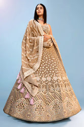 Taupe Georgette Lehenga with Sequins Work