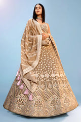 Taupe Georgette Lehenga with Sequins Work