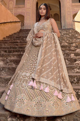 Taupe Georgette Lehenga with Sequins Work