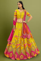 Silk Bird and Floral Motif Lehenga with Cutwork - silk saree