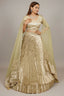 Pista Green Tissue Pleated Lehenga - green saree