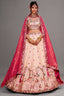 Cream Tissue Sequins Embroidery Lehenga - cream saree embroidery