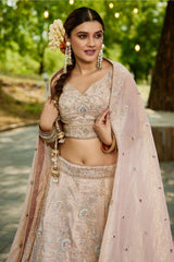 Nude Peach Tissue Sequin Embroidered Lehenga