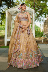 Beige Tissue Sequin Embroidery Lehenga