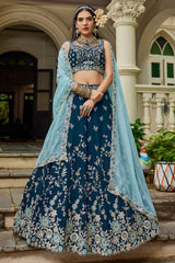 Navy Blue Tissue All Over Embroidered Lehenga