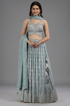 Pastel Sheen Green Organza Sequinned Lehenga with Beaded and Cutdana Work - green organza saree