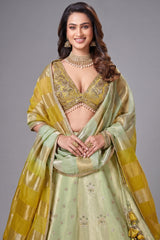 Green Tissue Woven and Sequin Worked Lehenga - green saree