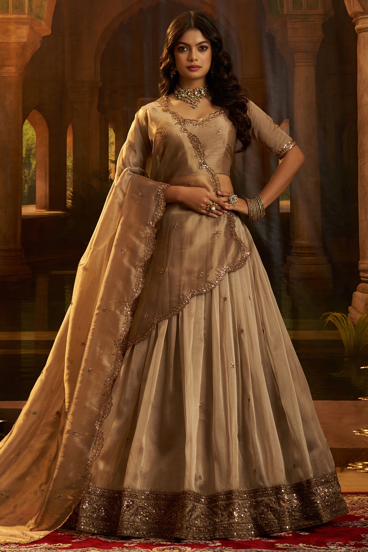 Champagne Taupe Organza Lehenga with Sequins Border - organza saree