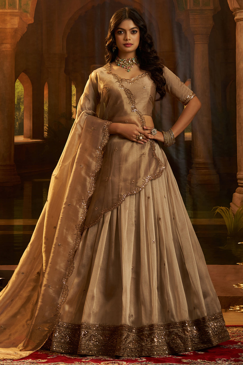 Champagne Taupe Organza Lehenga with Sequins Border - organza saree