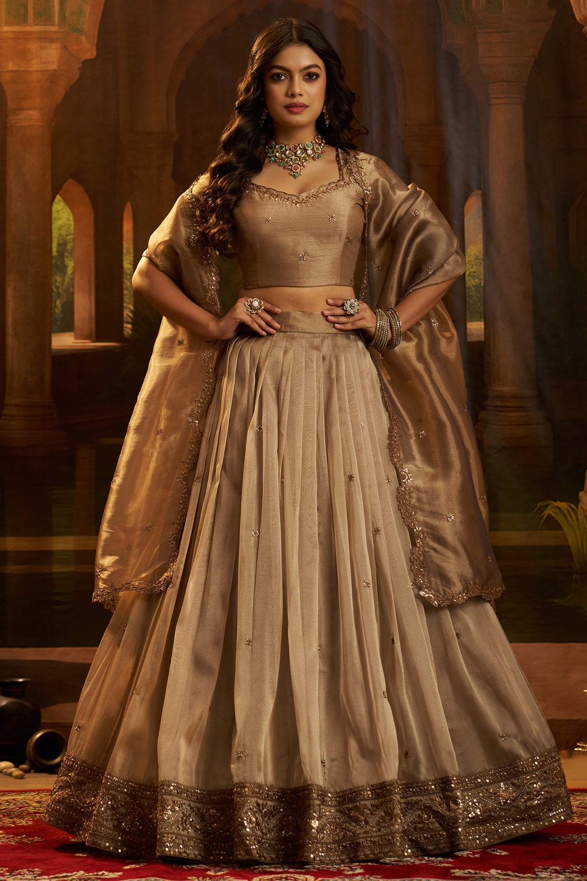 Champagne Taupe Organza Lehenga with Sequins Border - organza saree