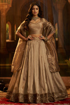 Champagne Taupe Organza Lehenga with Sequins Border - organza saree