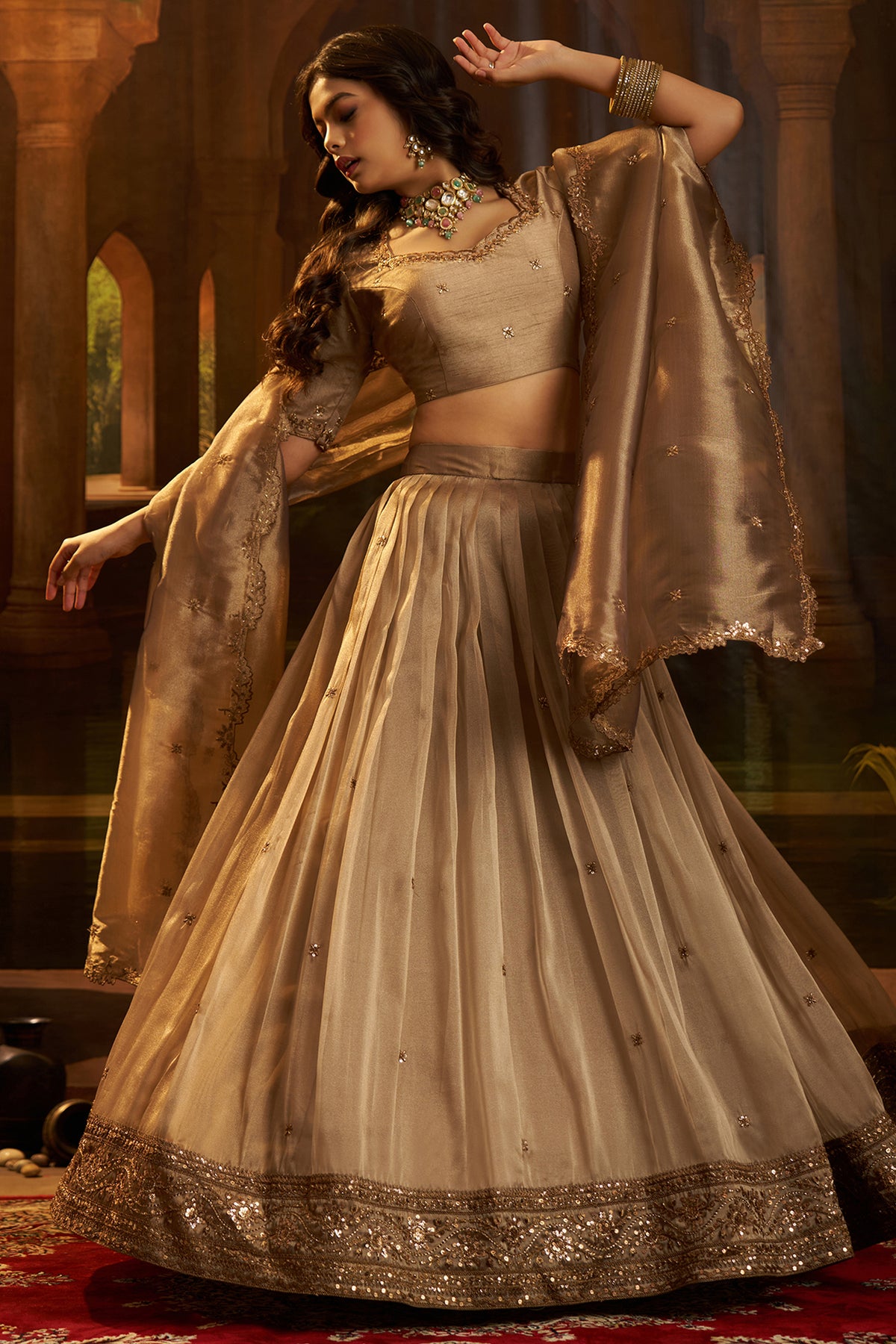 Champagne Taupe Organza Lehenga with Sequins Border - organza saree