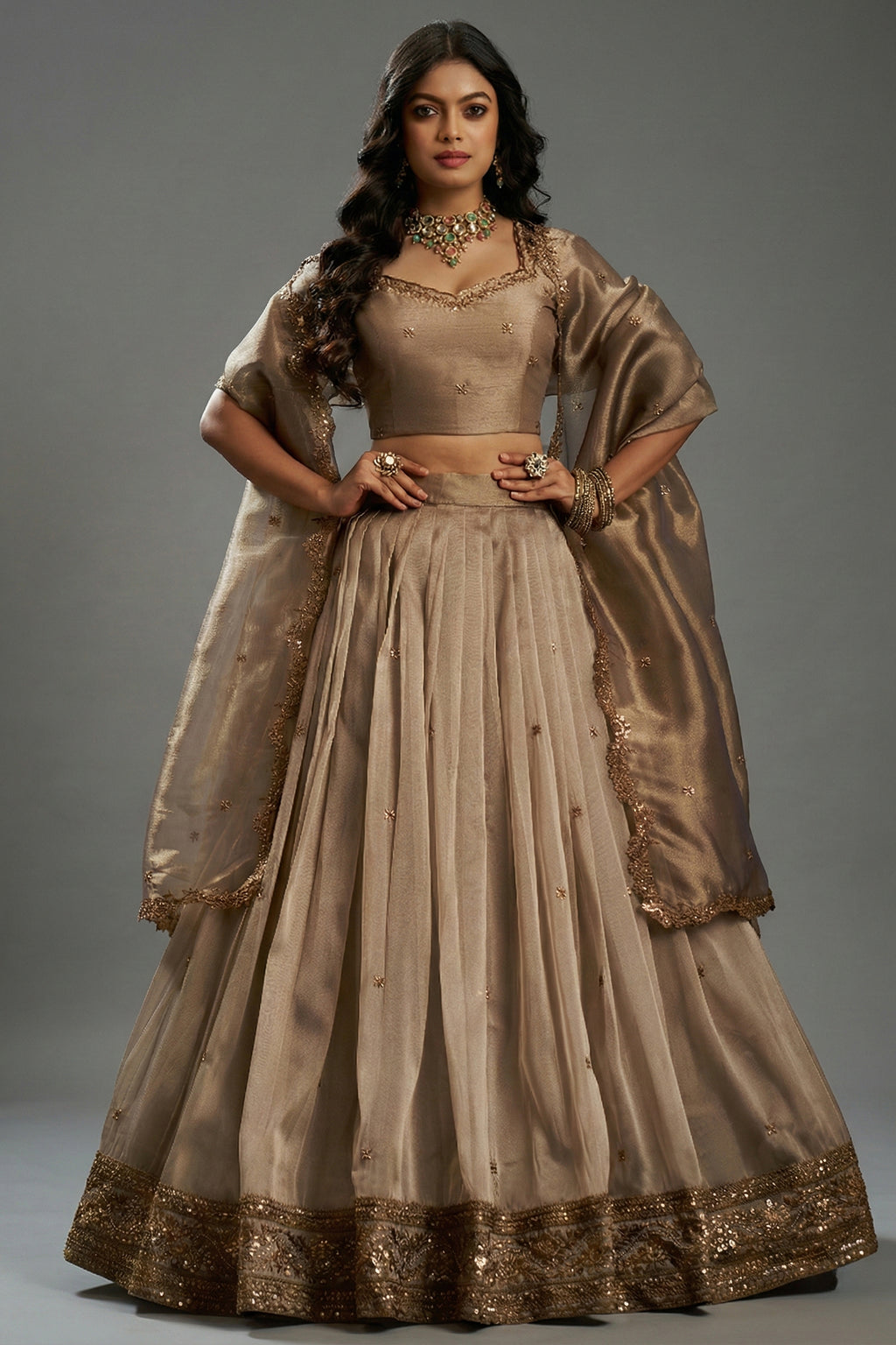 Champagne Taupe Organza Lehenga with Sequins Border - organza saree