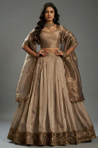 Champagne Taupe Organza Lehenga with Sequins Border - organza saree