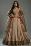 Champagne Taupe Organza Lehenga with Sequins Border - organza saree
