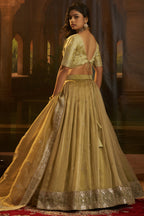 Muted Pistachio Gold Crepe Lehenga with Sequins Border featuring intricate golden patterns