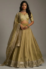 Muted Pistachio Gold Crepe Lehenga with Sequins Border - Front View