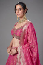 Magenta Pink Tissue Woven Lehenga with Paithani Border - pink saree