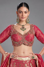 Deep Crimson Red Tissue Silk Floral Woven Jaal Lehenga with Paithani Border - red silk saree