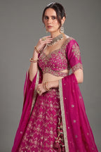 Rani Pink Banarasi Silk All Over Zari Weave Lehenga - pink silk saree zari